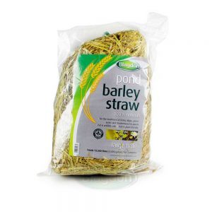 Barley Straw Large Pond Bale