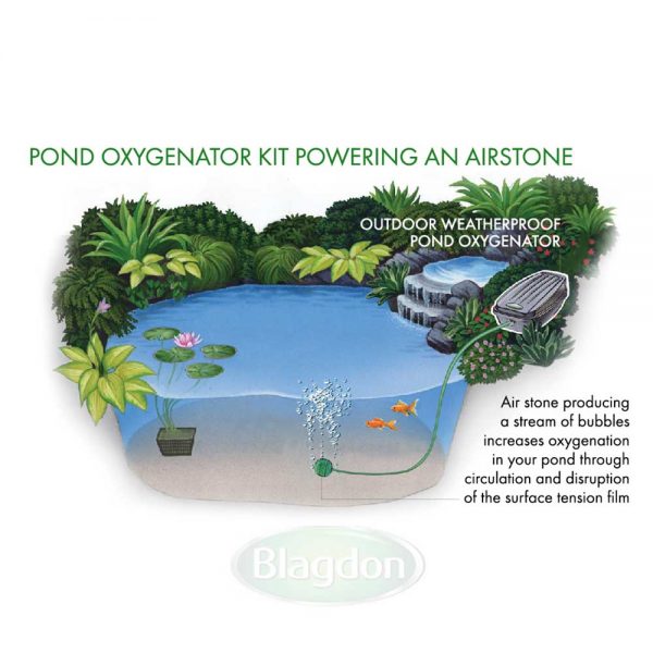 Pond Oxygenator Kit 1 Outlet
