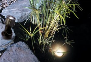Pond & Garden Lighting