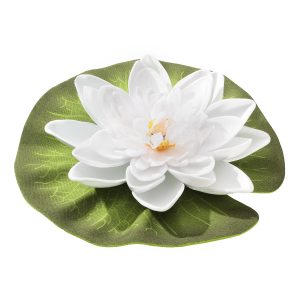 Floating Lily Single White
