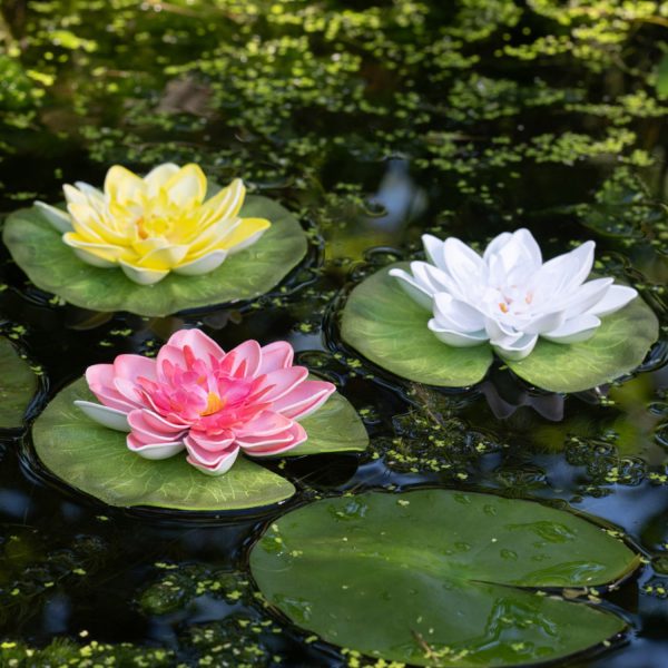 (min 12) Floating Lily Mixed Pack Of Three