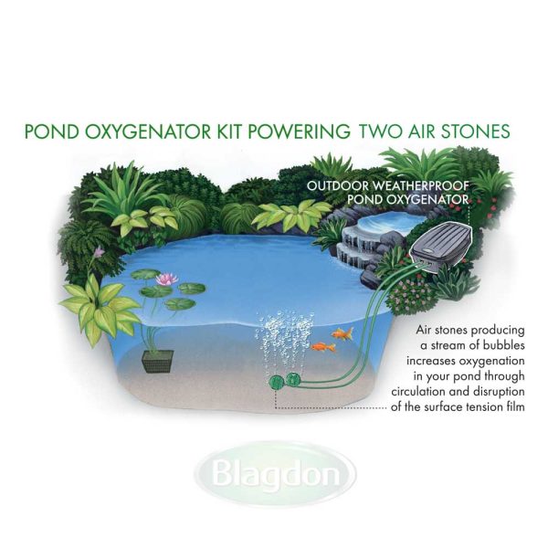 Pond Oxygenator Kit 2 Outlet