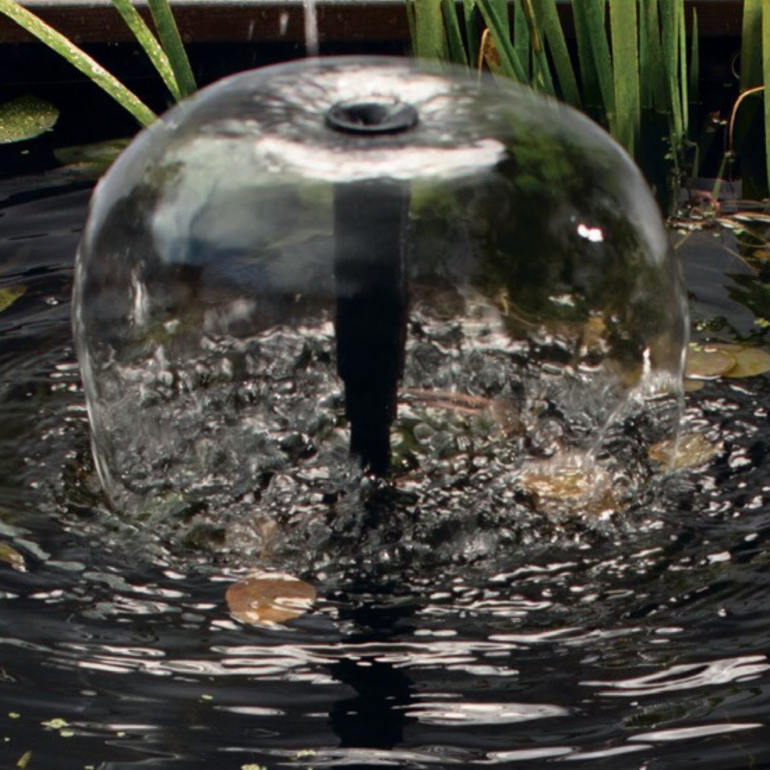 Liberty Solar Pump 500 & LED Kit