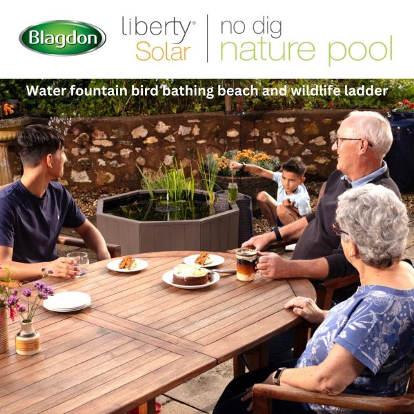 Liberty Solar No Dig Nature Pool - Image 4
