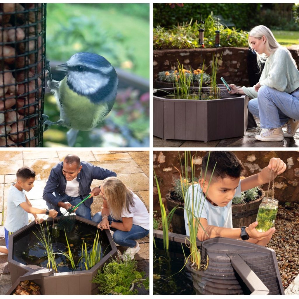 Liberty Solar No Dig Nature Pool - Image 5